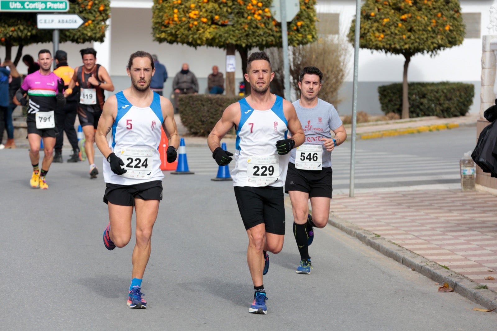ientos de corredores participan en una de las grandes pruebas del Gran Premio de Fondo Diputación de Granada