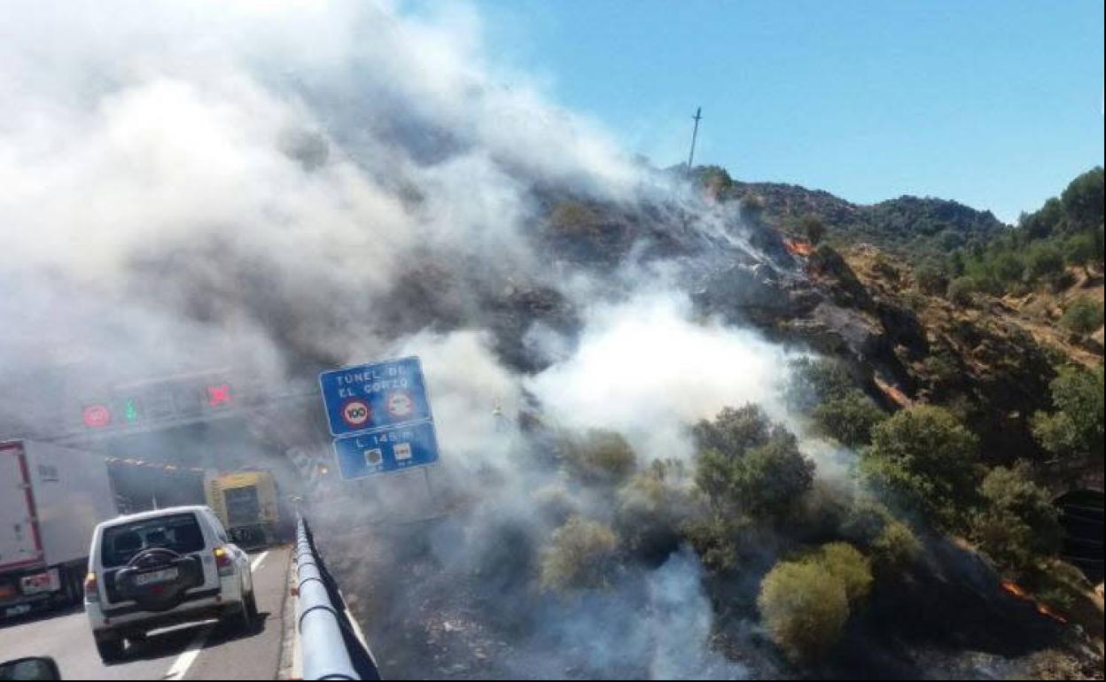 Llamas en el desfiladero de Despeñaperros entre la carretera a la altura del túnel del Corzo y la vía del tren en 2017. 
