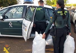 Tenía dos habitaciones dedicadas a cultivar más de 200 plantas de marihuana