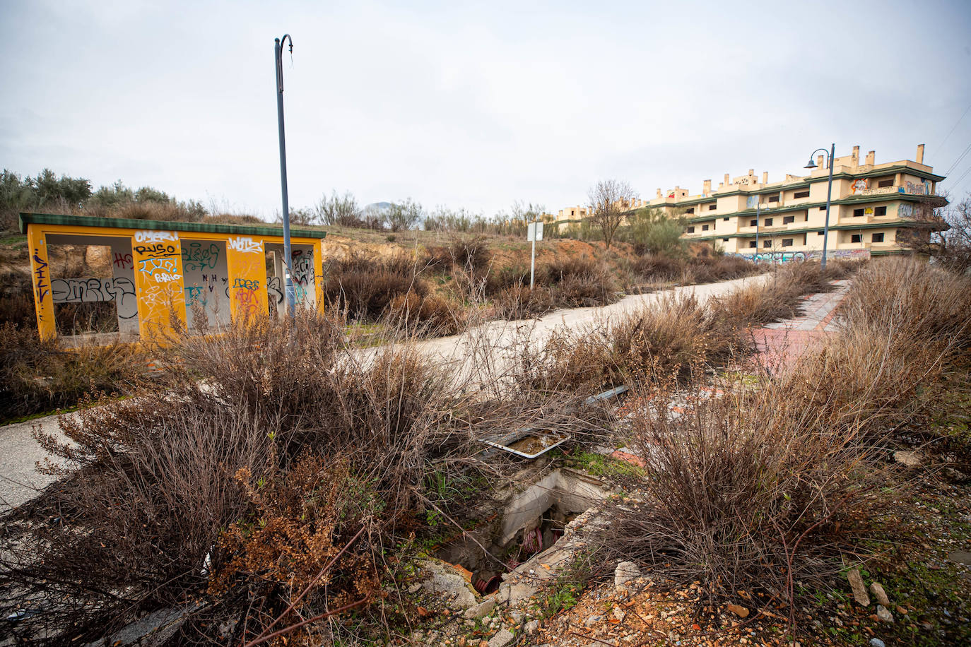 Imagen secundaria 1 - Imágenes de la urbanizacion Medina Elvira.