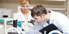 Oferta de empleo lanzada por SEPE.