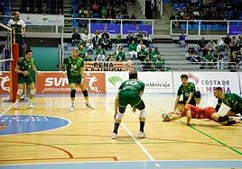 Unicaja Costa de Almería 'vuelve a unirse' para que la pelota no caiga y aprovechar para estar más cerca del primer puesto.