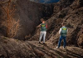 Los dos investigadores principales del incendio de Los Guájares divisan el terreno quemado, en el que resurgen algunos brotes verdes.