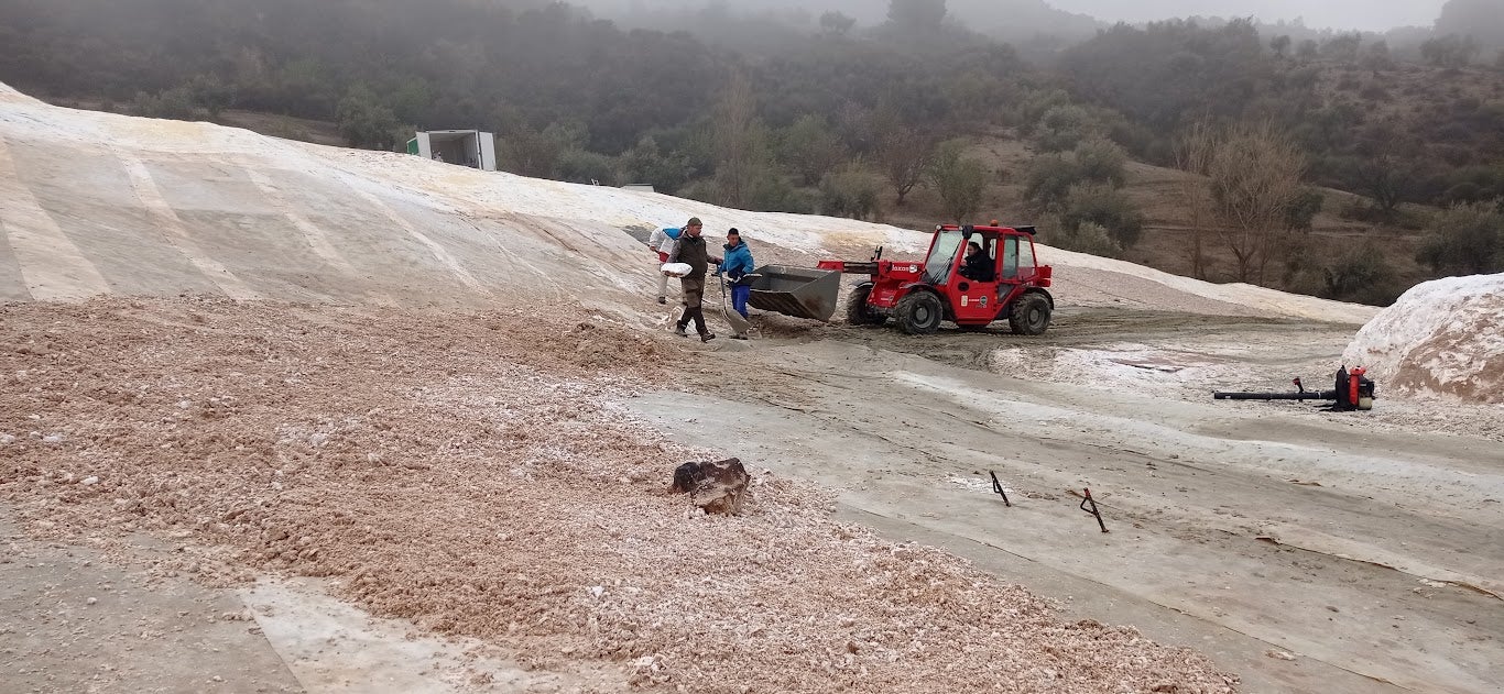 De un mar de olivos a set de rodaje: la transformación de la Argumosa, en imágenes