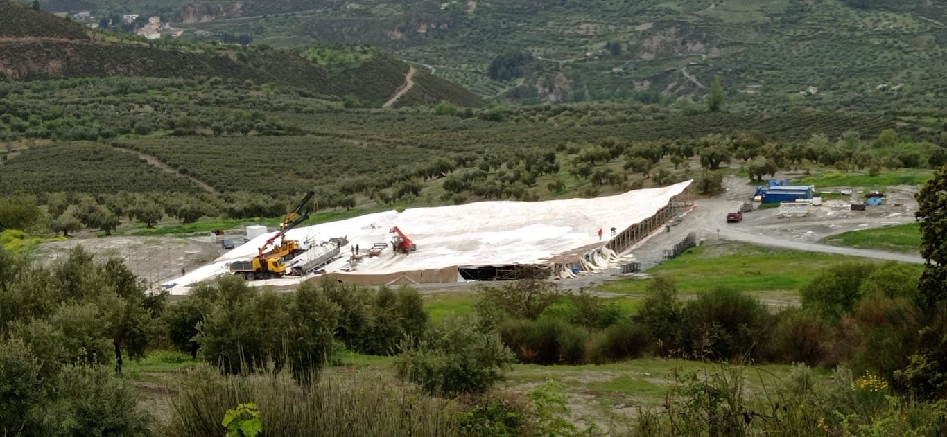 De un mar de olivos a set de rodaje: la transformación de la Argumosa, en imágenes