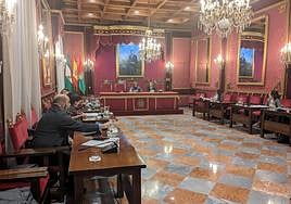 Un momento de la comisión informativa de Movilidad celebrada este martes.