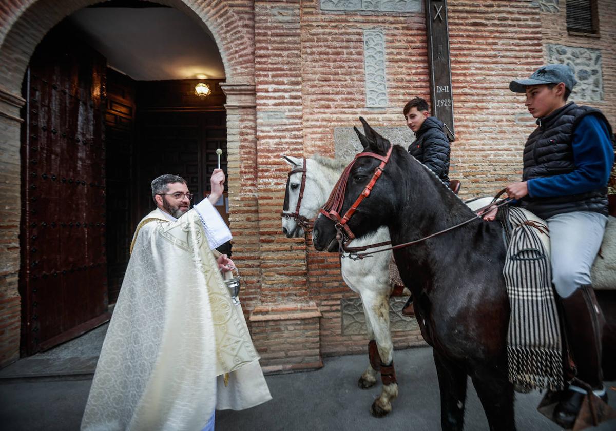 El párroco de la iglesia de la Encarnación de Monachil bendice a unos caballos para cumplir la tradición de San Antón.