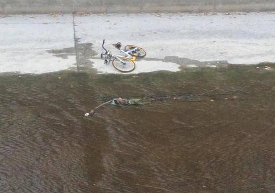 Las bicicletas de alquiler incluso acabaron en el río Genil.