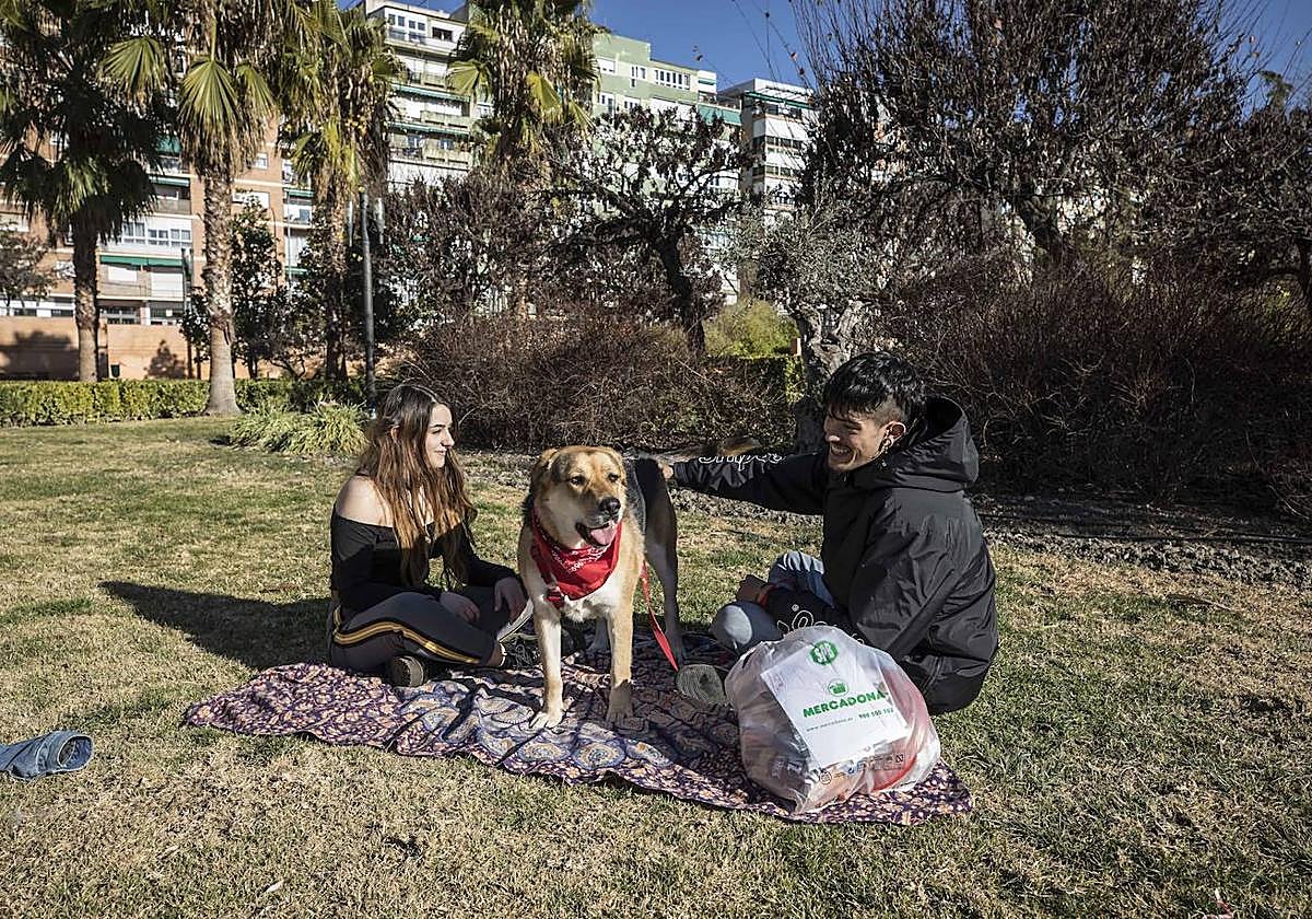 Ciudadanos toman el sol en invierno en Granada.