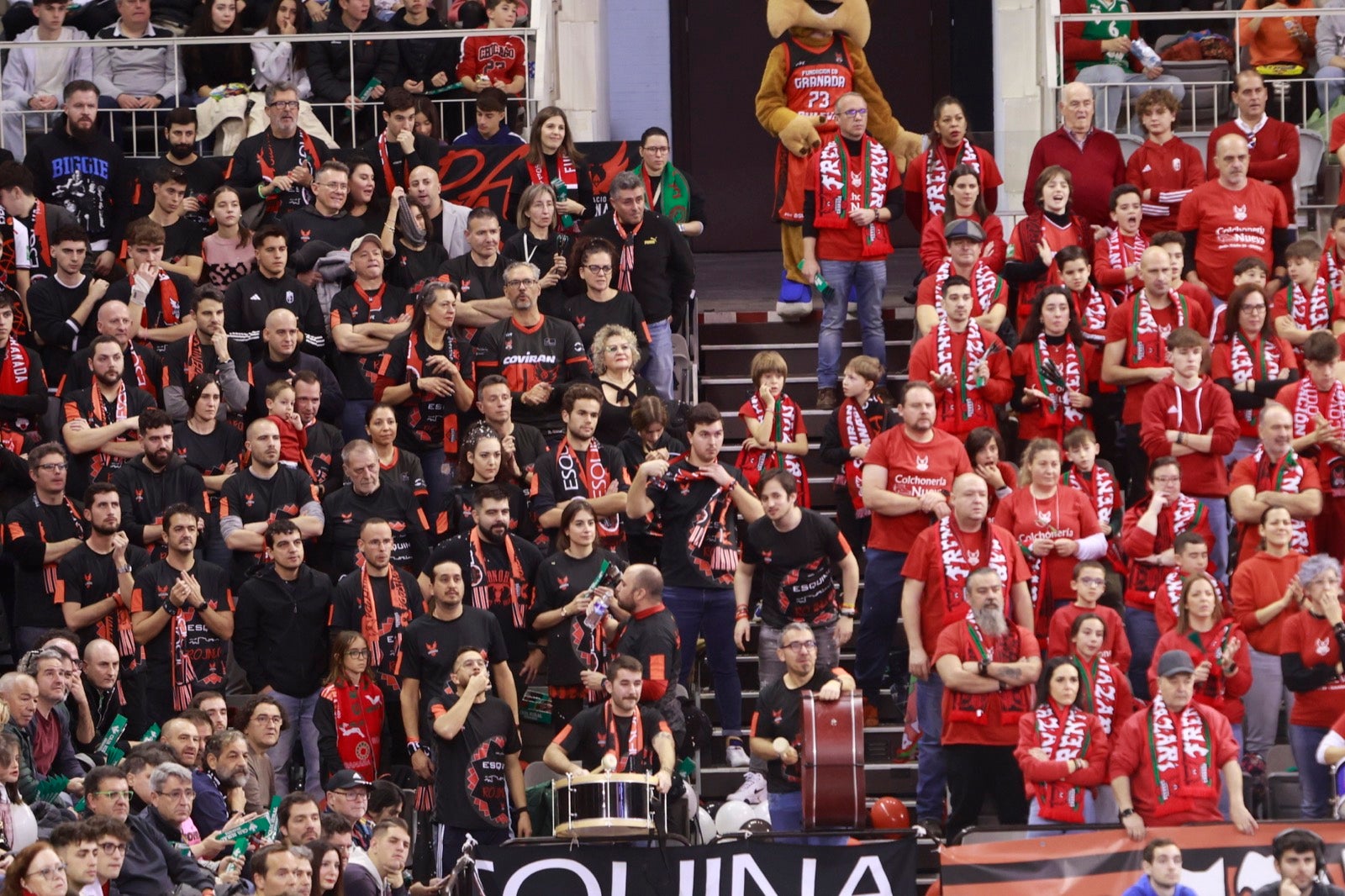 Encuéntrate en las gradas del Palacio durante el Covirán-Barcelona