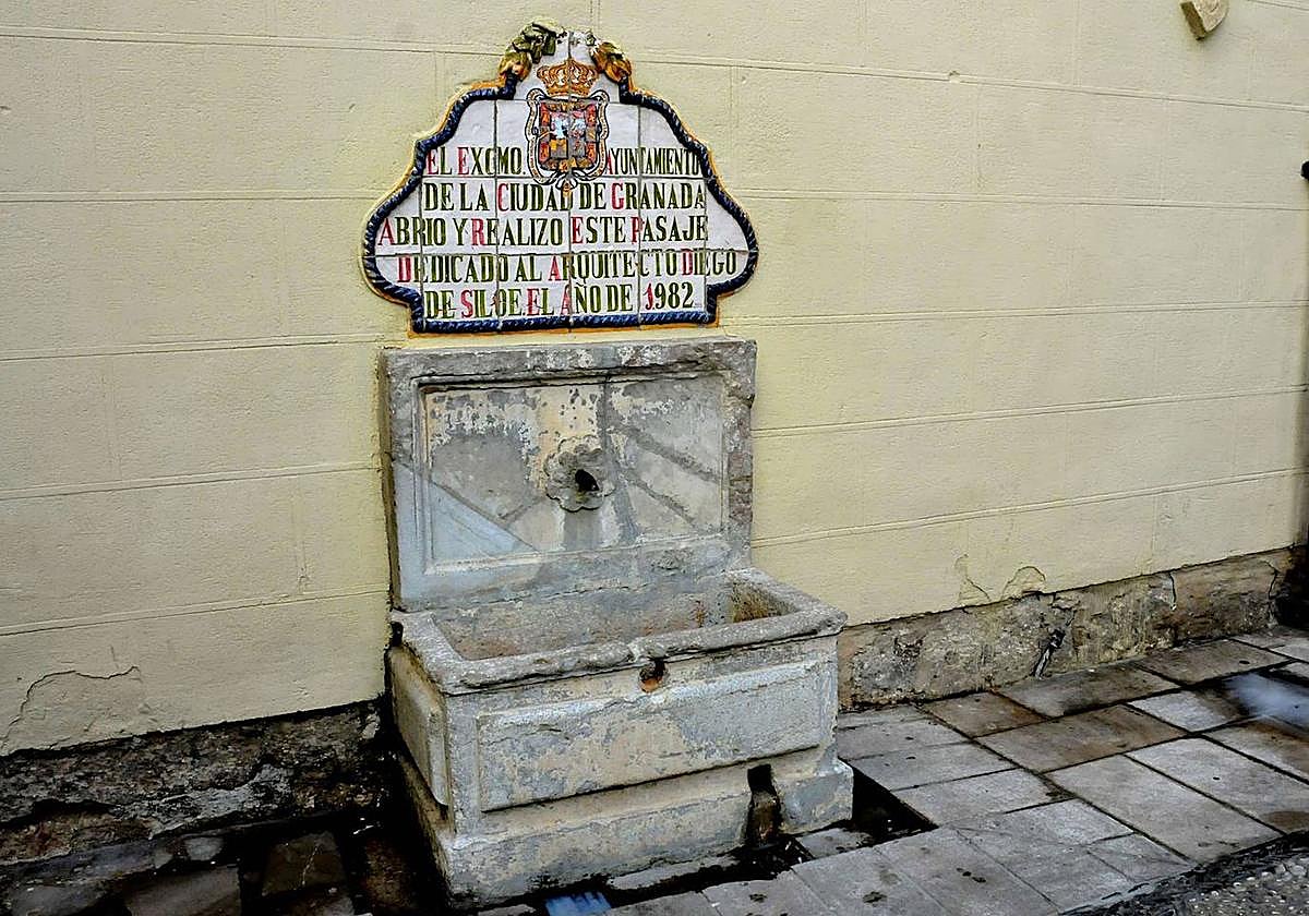 Pilar de Diego Siloé en una imagen de archivo.