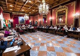 Pleno del Ayuntamiento de Granada en una imagen de archivo.