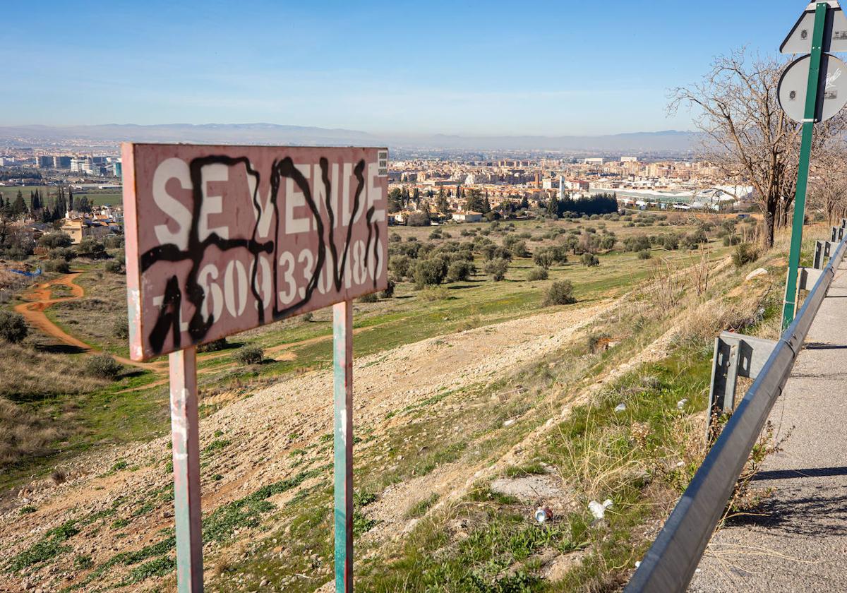 Terrenos en los que se iba a construir la sede de la villa olímpica.