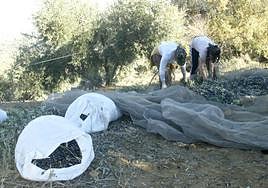 Jaén cierra 2023 con la menor tasa de actividad de Andalucía y el paro al 19%