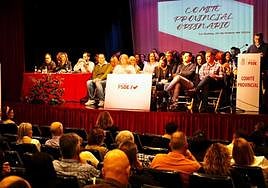 Entrena defiende la «potente» agenda social del PSOE y sus efectos en Granada