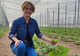 «No tenemos armas suficientes para las plagas que se van presentando día a día»