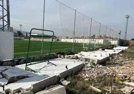 Estado actual del muro perimetral del campo de rugby.