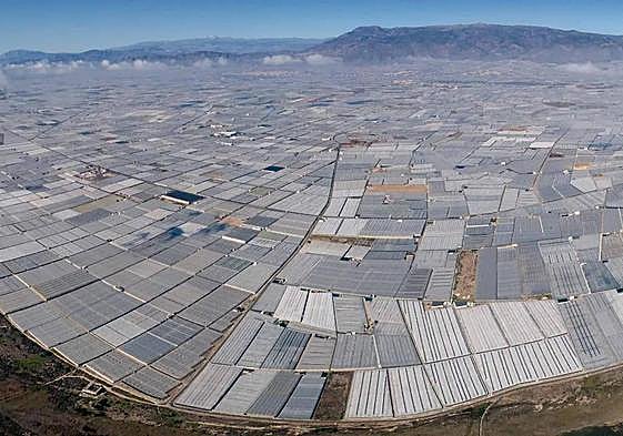 Asaja, COAG y UPA acuerdan poner en marcha un calendario de movilizaciones en las comunidades