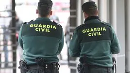 La Guardia Civil se ha hecho cargo de la investigación.