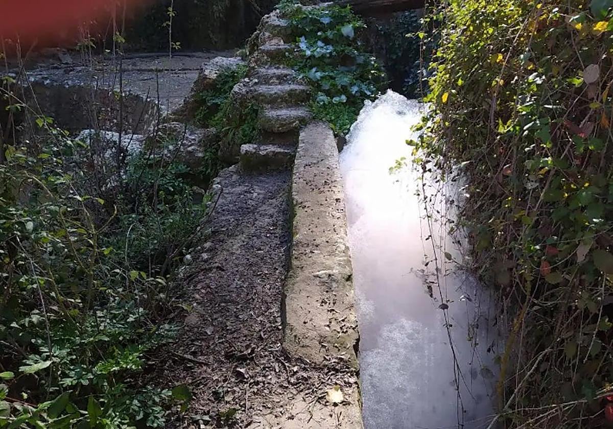 Espuma en el manaltial que abastece a los vecinos de Venta del Ray.