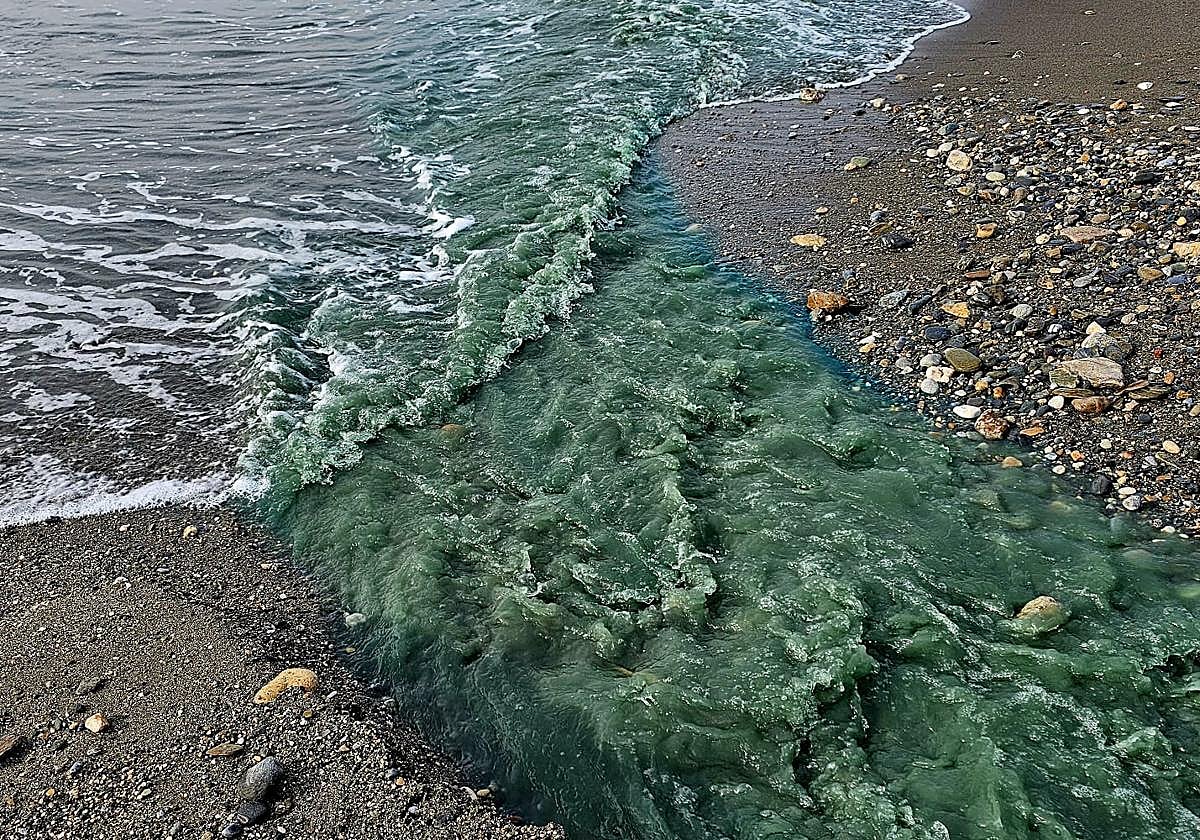 El vertido en la playa Punta del Río, entre Motril y Salobreña.