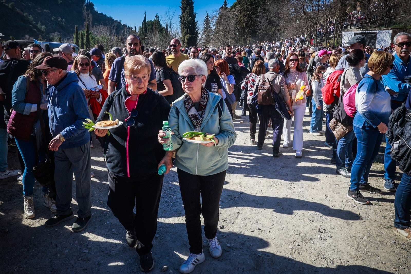 Las imágenes de la celebración de San Cecilio en Granada: salaíllas y habas para todos