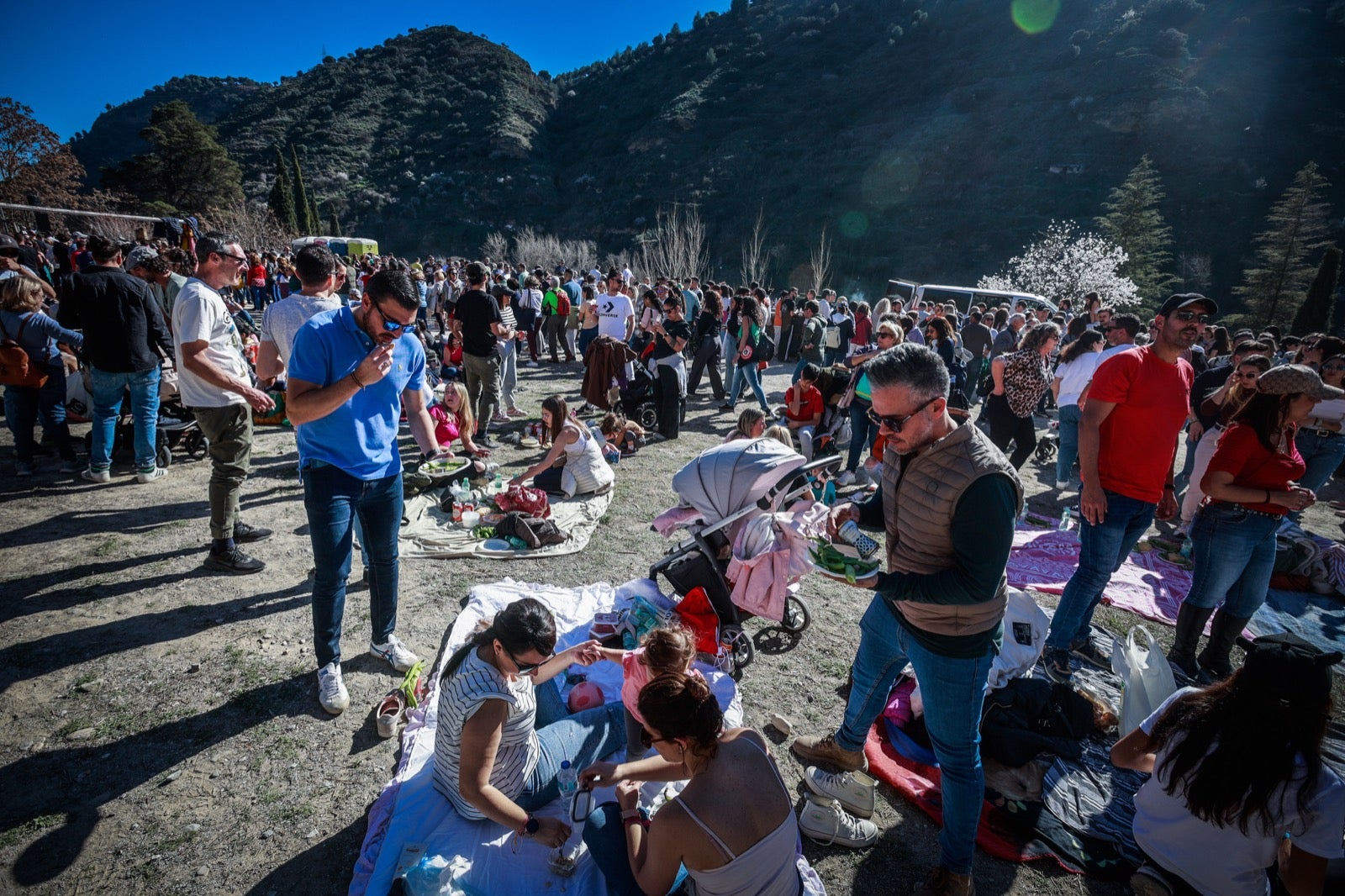 Las imágenes de la celebración de San Cecilio en Granada: salaíllas y habas para todos