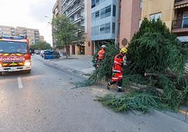 Efectivos de bomberos de Granada.