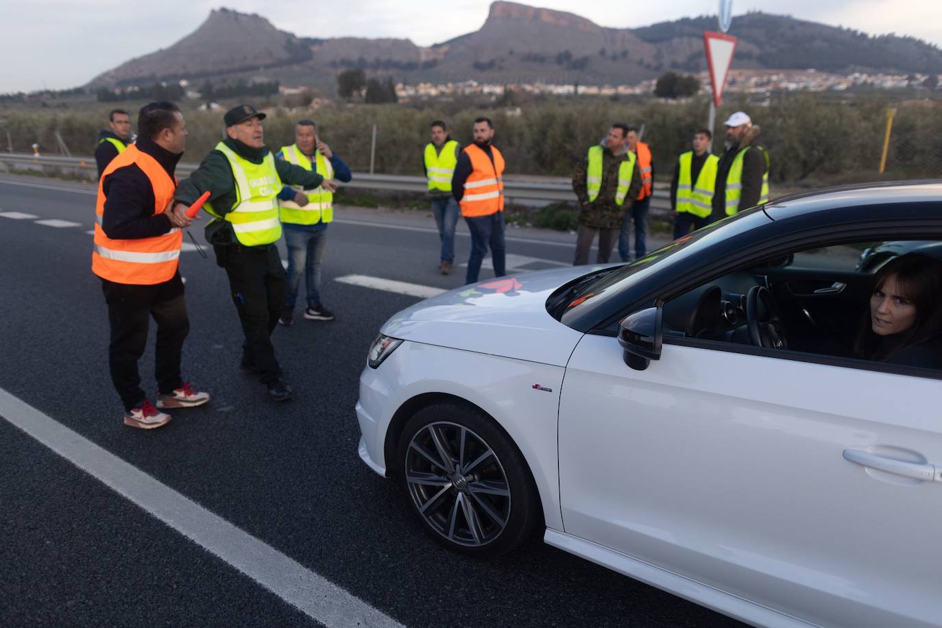 Las imágenes de la tractorada de Granada