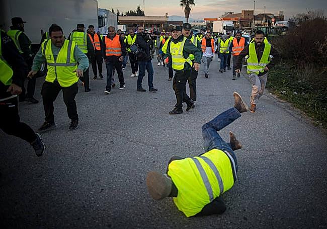 Las imágenes de la tractorada de Granada.