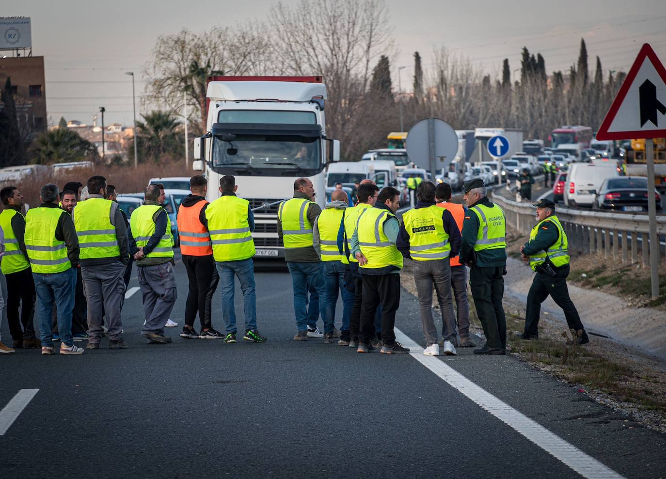 Las imágenes de la tractorada de Granada