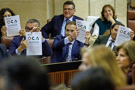 Parlamentarios de Vox exhiben carteles con los logos de la Agenda 2030 y la Junta.