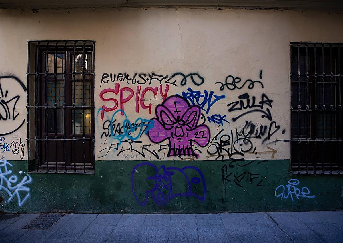 Imagen secundaria 1 - Pintadas en el barrio del Boquerón.