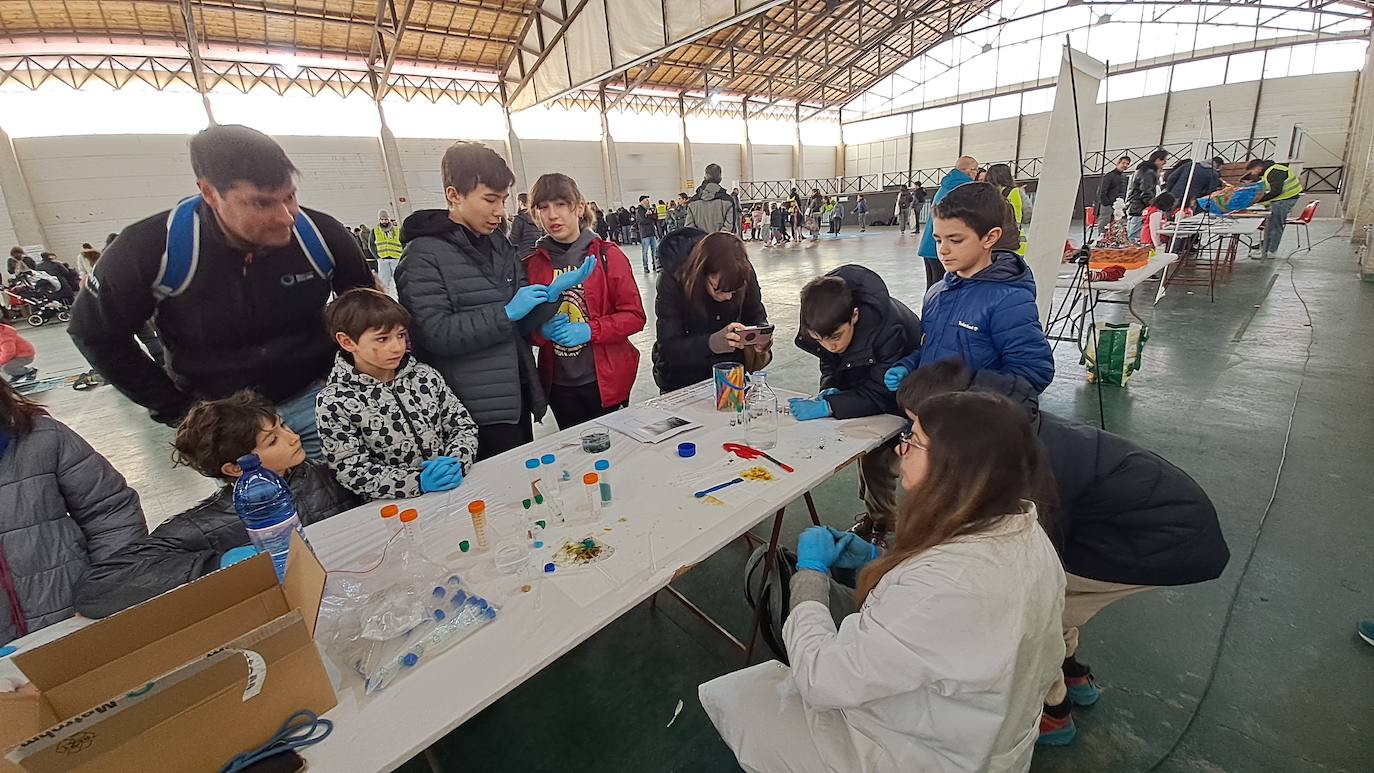 &#039;Mi primer geolodía&#039; de Padul, en imágenes