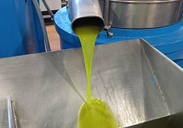 Los datos de enero apuntan a una producción a nivel nacional de 774.653 toneladas de aceite de oliva.
