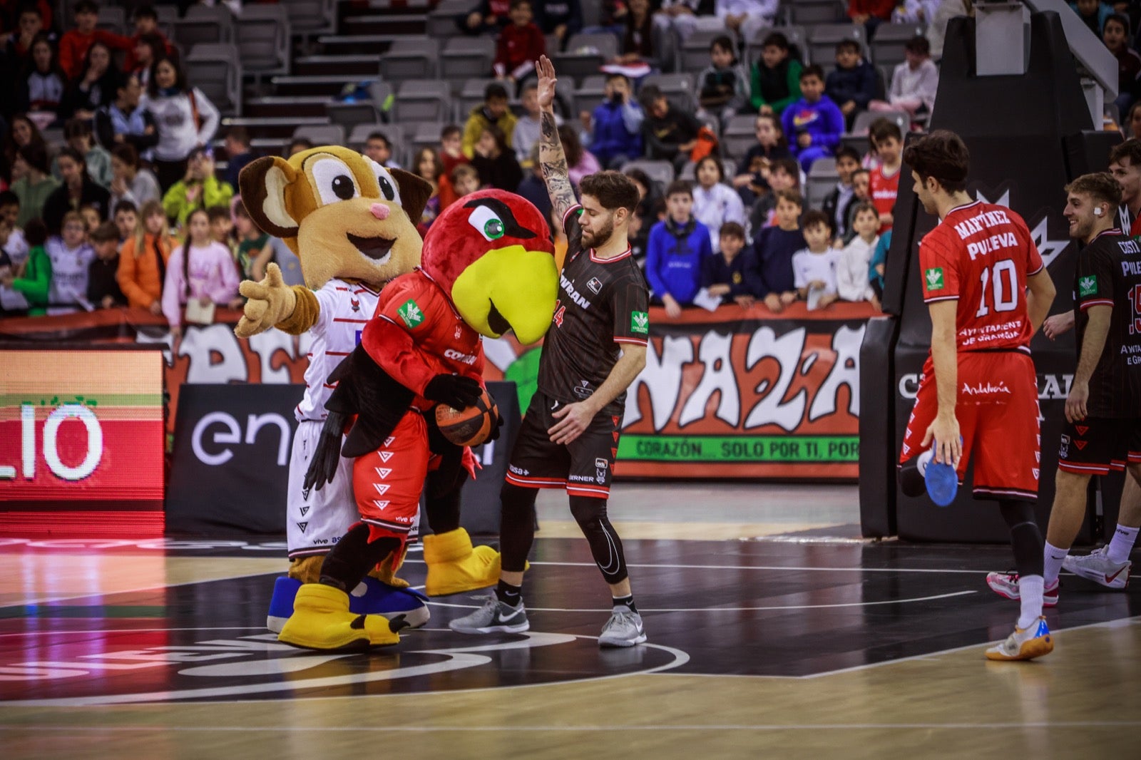Las imágenes de los niños en el Fénix Game del Palacio de los Deportes