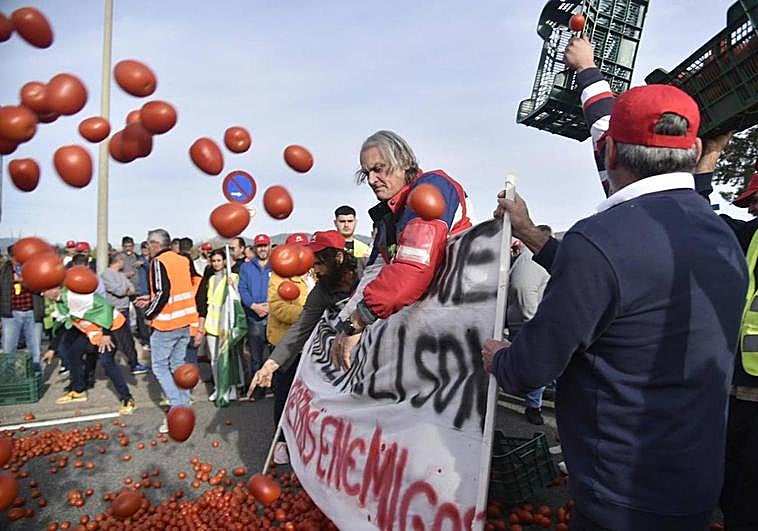 Manifestación en el Puerto en la mañana de este miércoles.