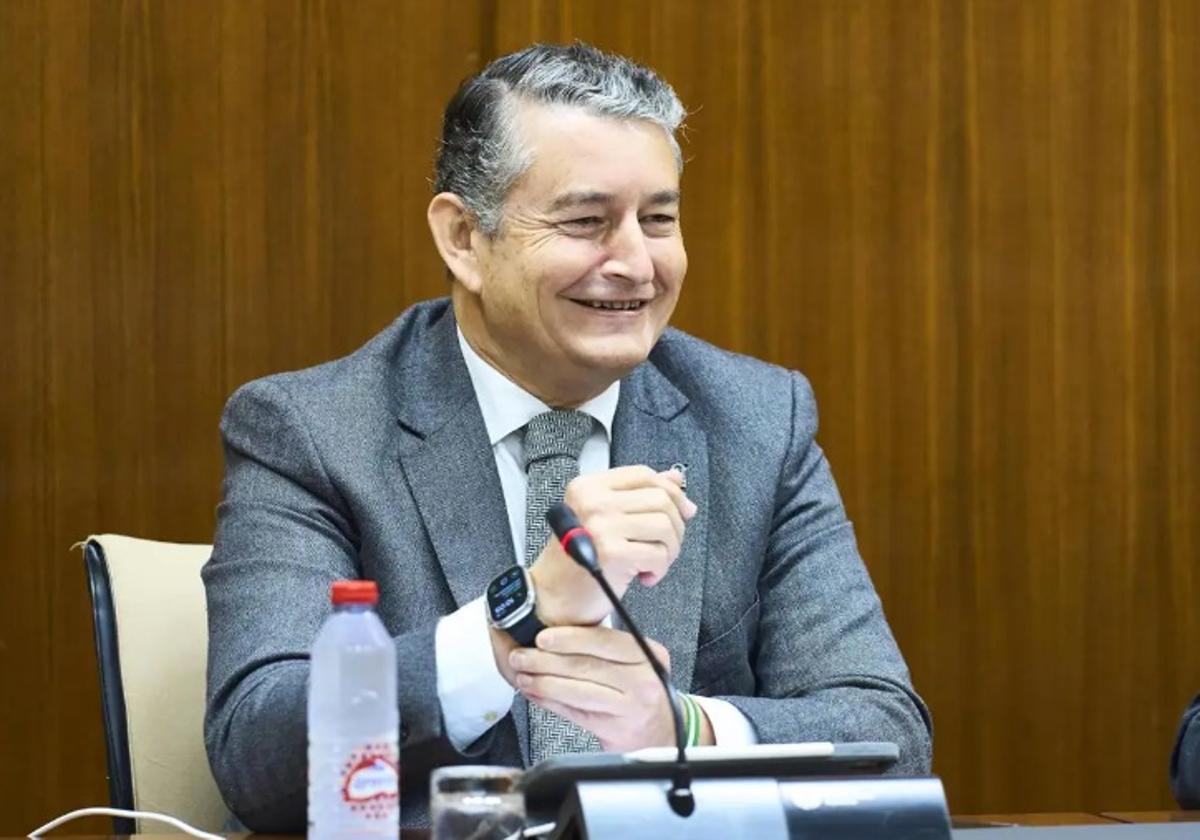 Antonio Sanz, durante su comparecencia en la comisión parlamentaria.