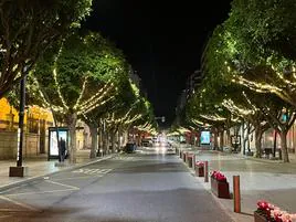 Las luces navideña permanecen en los ficus del Paseo de Almería.