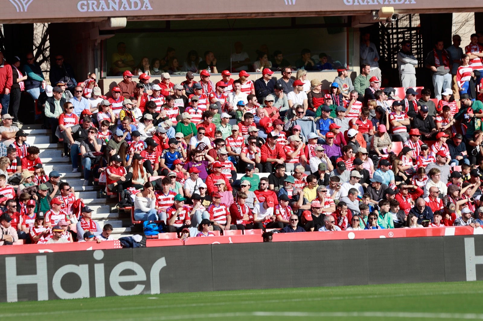 Encuéntrate en la grada en el partido entre Granada y Almería
