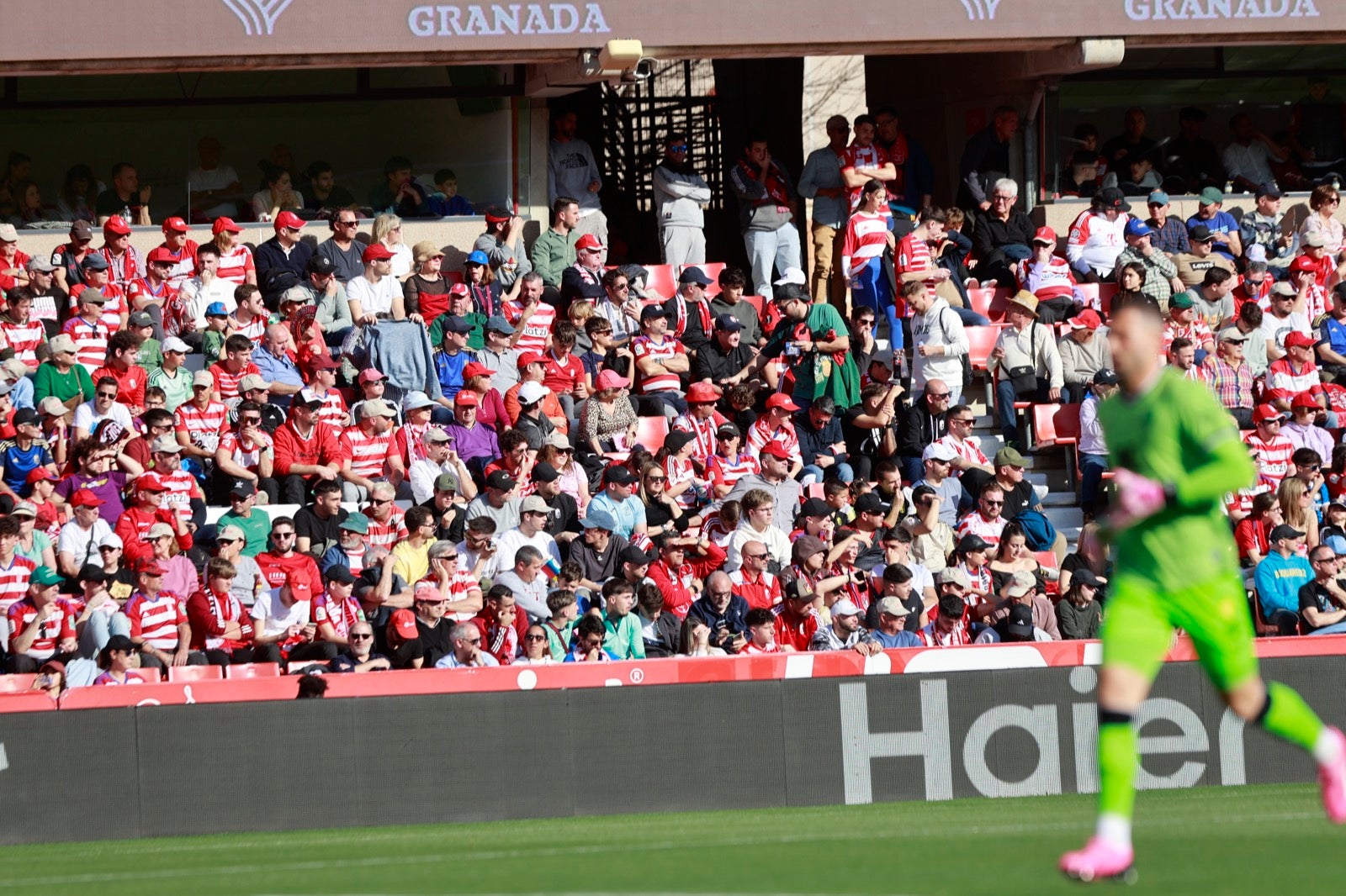 Encuéntrate en la grada en el partido entre Granada y Almería