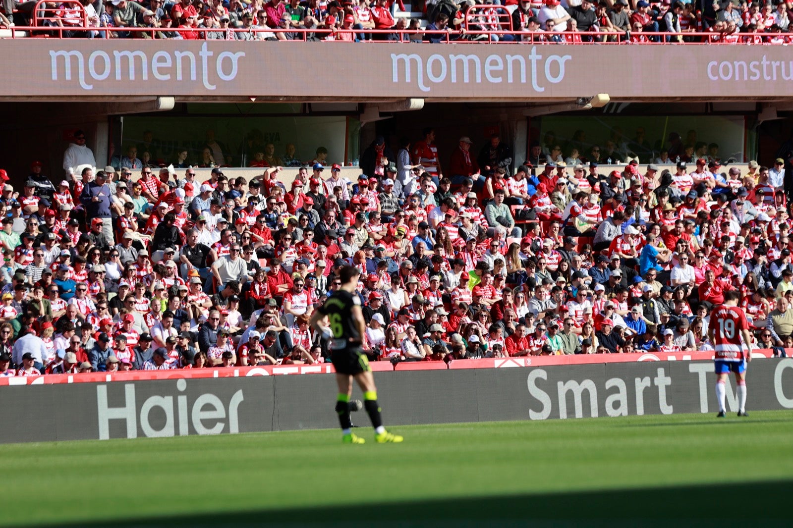 Encuéntrate en la grada en el partido entre Granada y Almería
