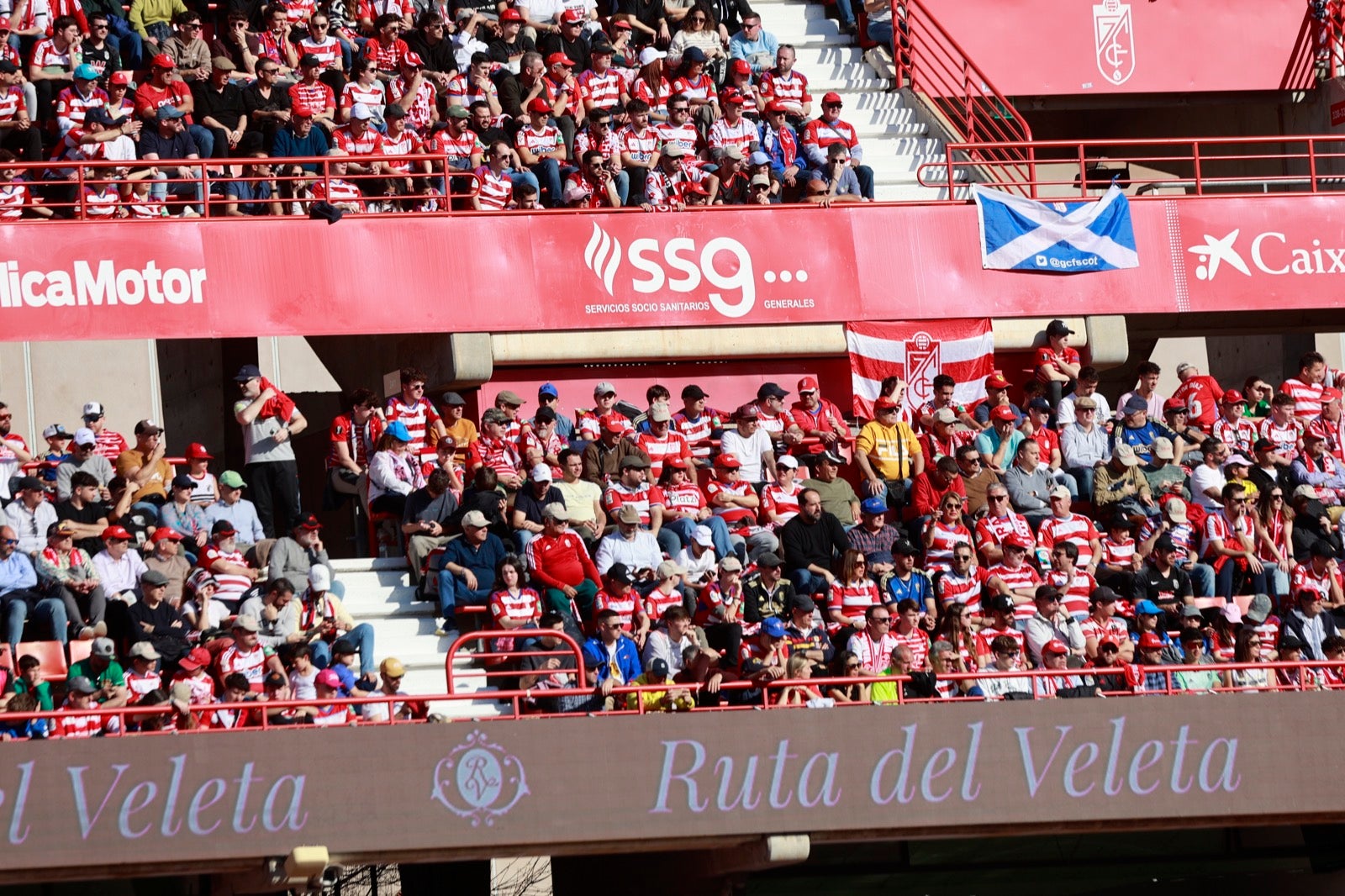 Encuéntrate en la grada en el partido entre Granada y Almería