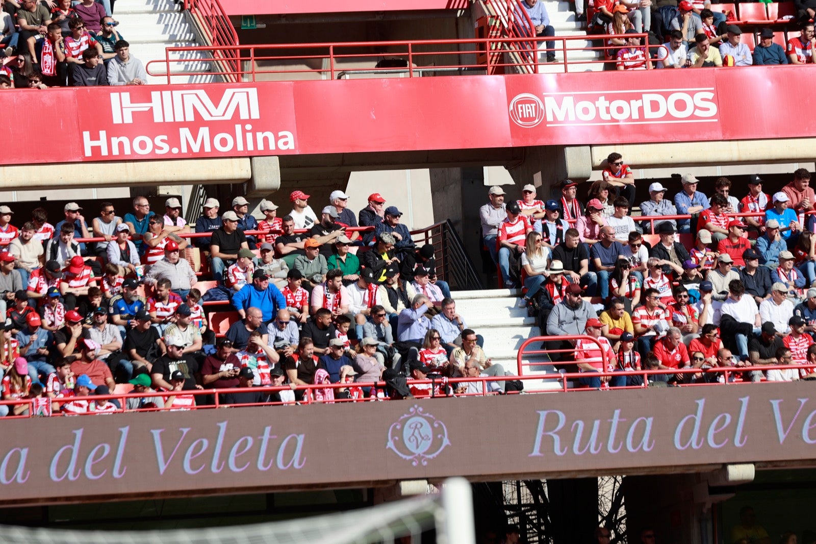 Encuéntrate en la grada en el partido entre Granada y Almería