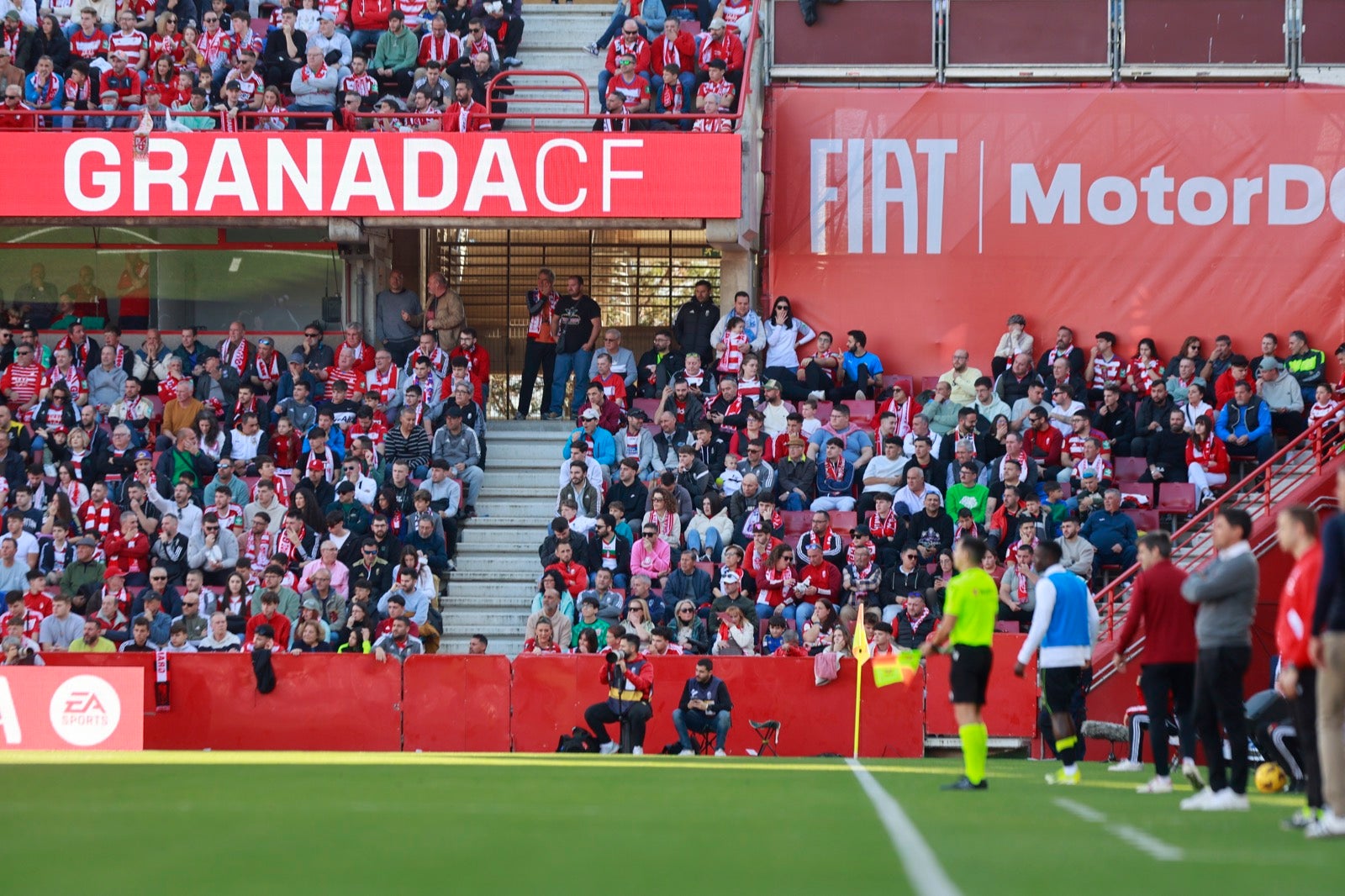 Encuéntrate en la grada en el partido entre Granada y Almería