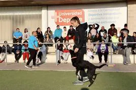Un momento de la exhibición canina durante la inauguración del curso.
