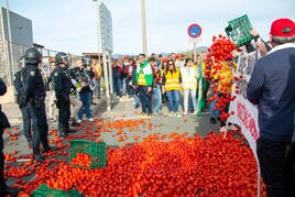 Agricultores arrojan tomates en las protestas en el puerto de Motril, la semana pasada.