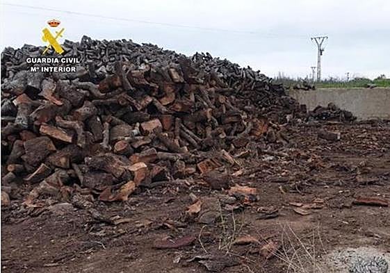 Imagen de archivo e un robo de leña.