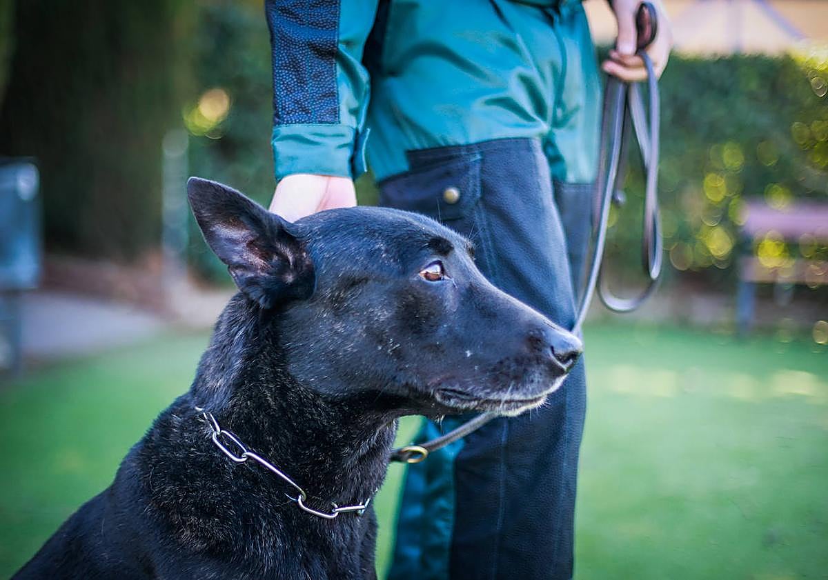 Imagen principal - Juper y Francisco, su guía.