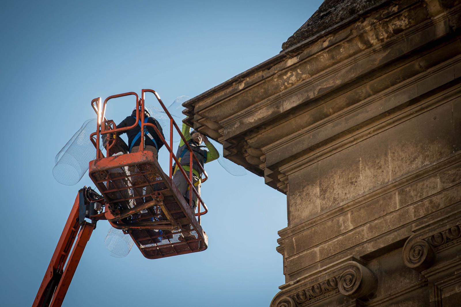 Operarios realizando ayer trabajos preventivos.